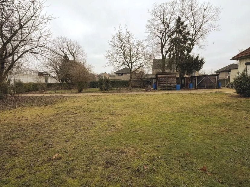 Terrain à vendre
                    à 3583 Paal