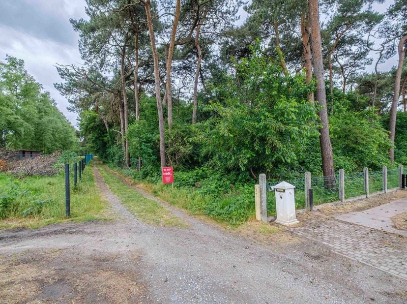Terrain à vendre
                    à 2490 Balen