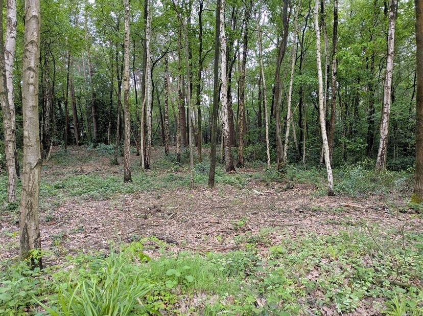 Rustig en groen gelegen perceel grond van 1.619m² in het woonbos te Essen<br />
Perceelbreedte: ca. 20m<br />
Perceeldiepte: ca. 81m<br />
Gelegen in