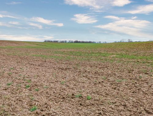                                         Landbouwgrond te koop in Beauvechain, € 265.000
