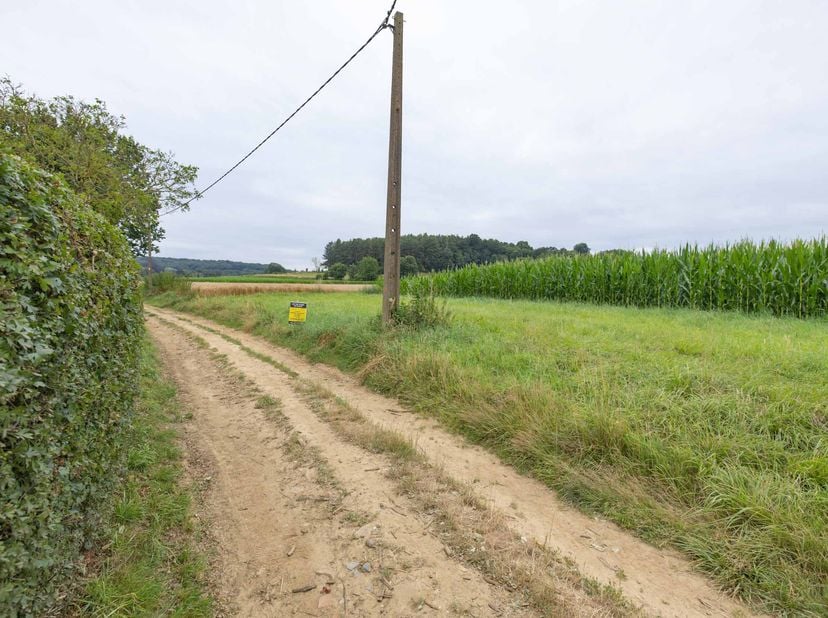 PERCELEN BOUWLAND  <br />
<br />
GEMEENTE HOLSBEEK - vierde afdeling - Sint-Pieters-Rode<br />
<br />
1) Een perceel bouwland ter plaatse genaamd "The