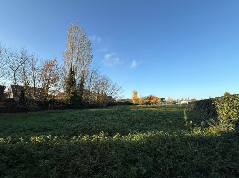 Terrain à vendre
                    à 8490 Jabbeke