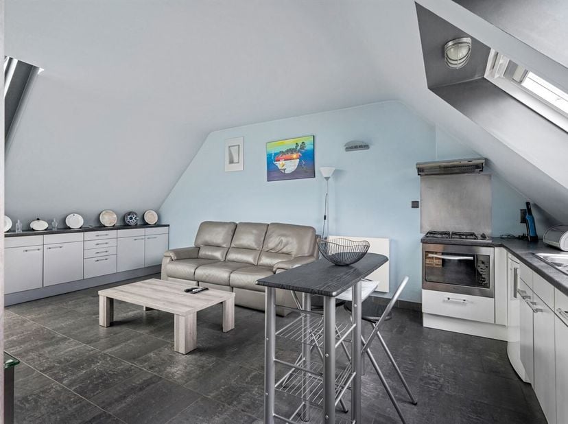 Vous êtes à la recherche d'un appartement confortable et lumineux sur les toits dans un quartier calme ? Cet appartement se trouve dans un petit immeu