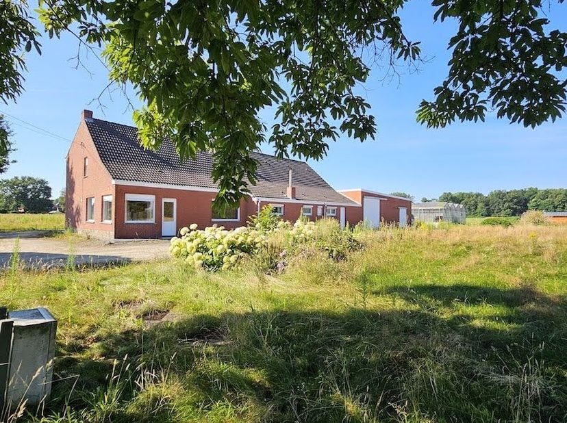 In open landschap gelegen hoevetje te koop te Putte.<br />
De landbouwfunctie is er reeds lang geleden gestopt.<br />
Functiewijziging naar zonevreemd