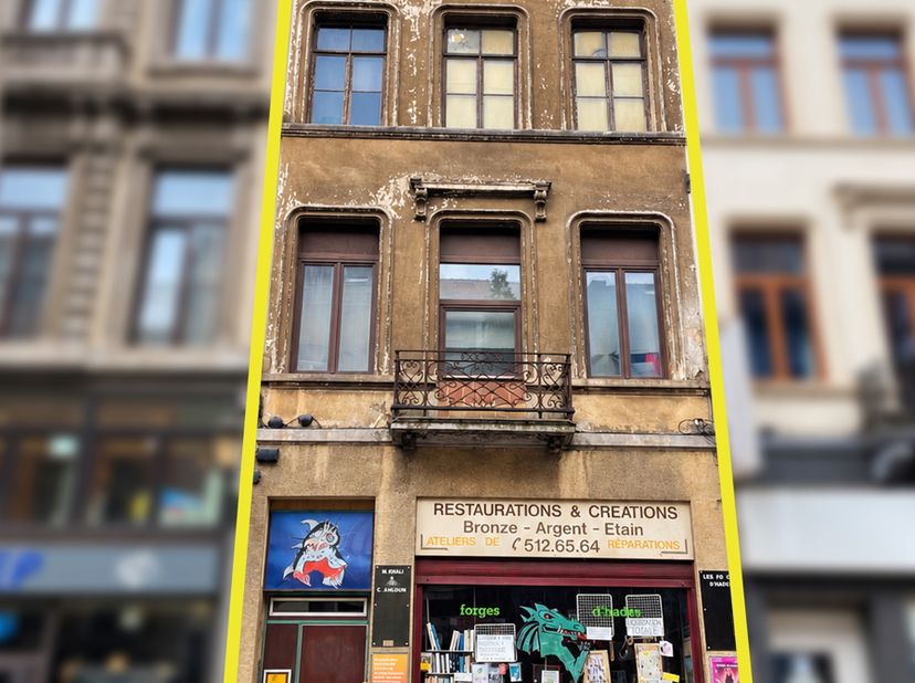Maison à vendre à Rue du Trône 159,
                    1050 Ixelles