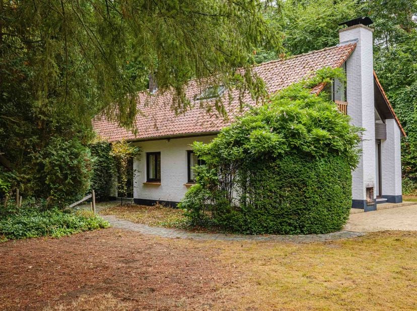 WONING AAN HET MOLENBOS -<br />
Op een rustige en groene locatie, in een doodlopende straat en grenzend aan het bos van de Abdij der Trappisten van We