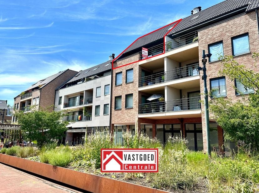 Appartement à louer
                    à 3740 Bilzen
