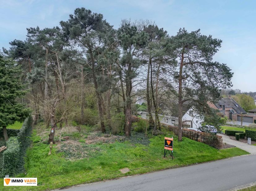 Deze prachtige bouwgrond van 15 are is gelegen in de Snijwitstraat 20 in Houthalen.<br />
Met een perceeldiepte van 60 meter en een straatbreedte van