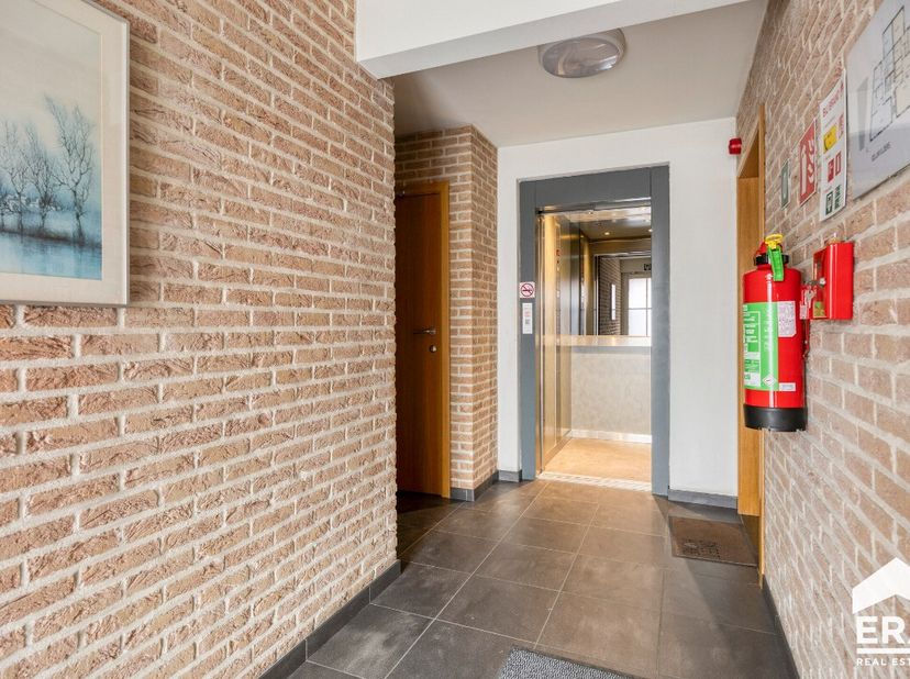 Appartement à louer
                    à 3900 Overpelt