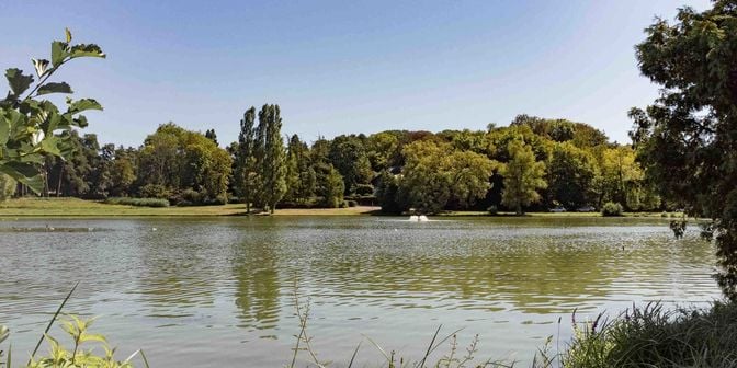 Terrain à vendre à Avenue Général Baron Empain 35, 1150 Woluwe-Saint-Pierre