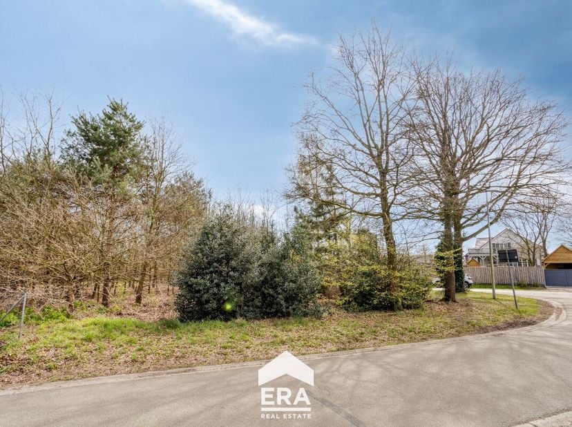 Terrain à vendre
                    à 3990 Wijchmaal