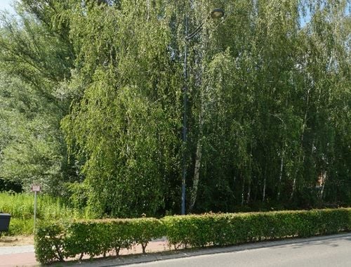                                         Terrain à bâtir à vendre à Tremelo, € 199.000
