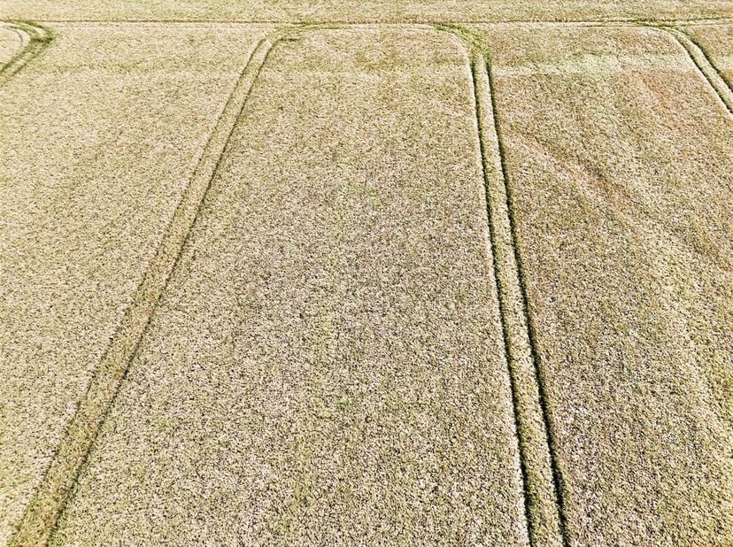 10 ensembles de terrains agricoles d’une contenance totale de 18 ha 33 a 34 ca formant de beaux blocs en exploitation. <br />
Ils sont situés à route