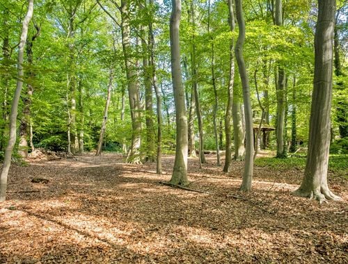                                         Bouwgrond te koop in Sint-Niklaas, € 625.000
