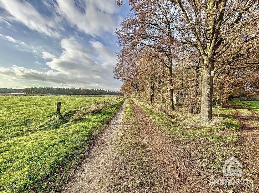 PLUSPUNTEN<br />
+ zéér groot perceel bosgrond: ca. 31230 m2<br />
+ voornamelijk loofbomen<br />
+ bestemming volgens gewestplan is natuurgebied<br /