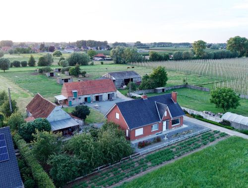                                         Ferme à vendre à Dentergem, € 610.000
