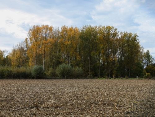                                         Terrain à vendre à Oosterzele, € 25.000
