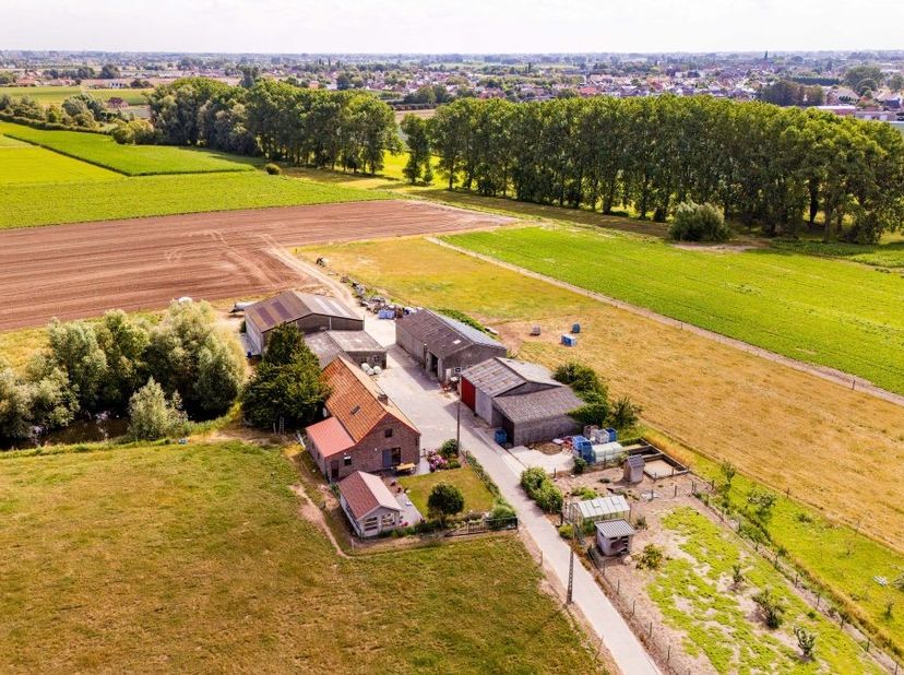 De hoeve is mooi alleen gelegen in open landschap tussen Handzame en Kortemark.<br />
De hoeve is vergund voor landbouw (groenten+ rundvee) met bedrij