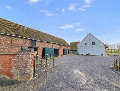                                         Hoeve te koop in Heestert, € 875.000
