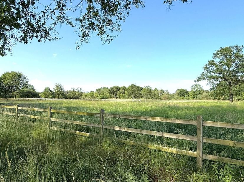 Twee omheinde percelen landbouwgrond met een totale oppervlakte van 21.430m².<br />
De percelen zijn volledig omheind en voorzien van een schuilstal,