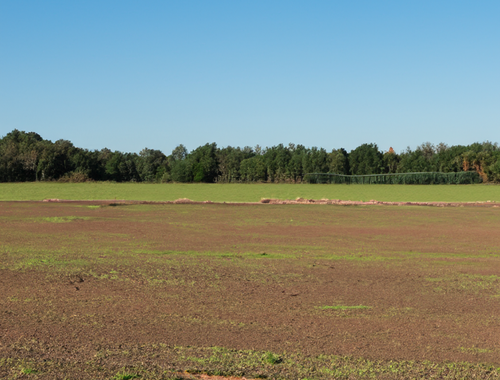                                         Terrain à bâtir à vendre à Wavre, € 575.000

