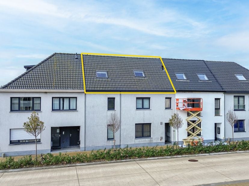 Op wandelafstand van het strand en de duinen bevindt zich dit charmante dakappartement in een karaktervol gebouw uit 1933, volledig gerenoveerd in 201