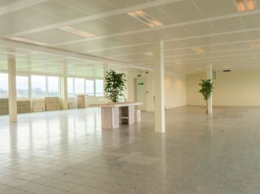 Dit kantoorgebouw aan de Bisschoppenhoflaan maakt het mogelijk om je onderneming te vestigen op een strategische locatie in de Antwerpse Ringzone. De