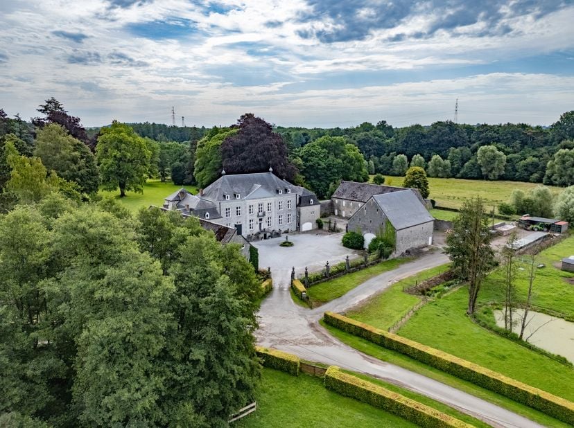 n de regio Ciney, in de Condruz, ligt dit prachtige 18e-eeuwse kasteel, gebouwd te midden van een park met eeuwenoude bomen. Of het nu als privéwoning