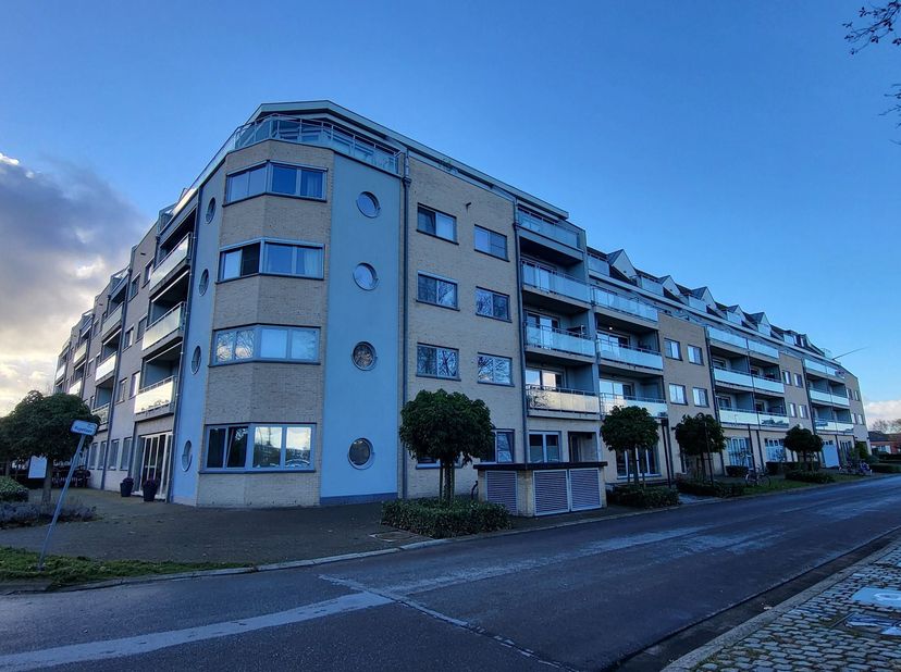 Appartement te huur in Scheldelaan 40 bus 1,19,
                    2830 Willebroek