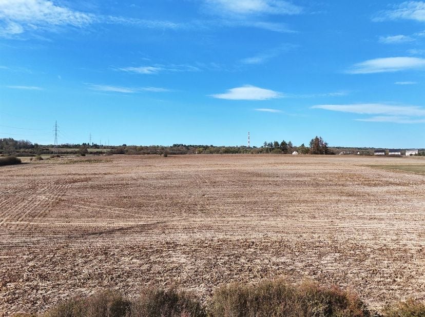 Terrain à vendre à Rue du Doneû,
                    5580 Buissonville