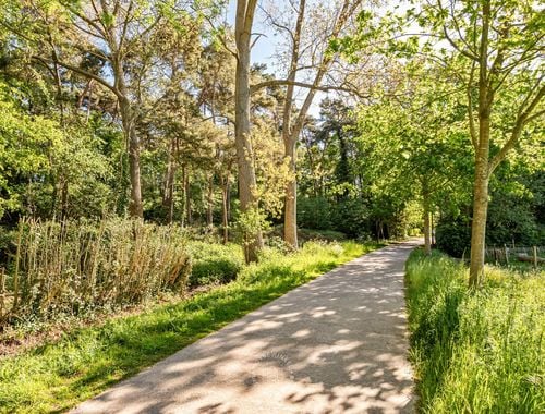                                         Bois à vendre à Waasmunster, € 32.500
