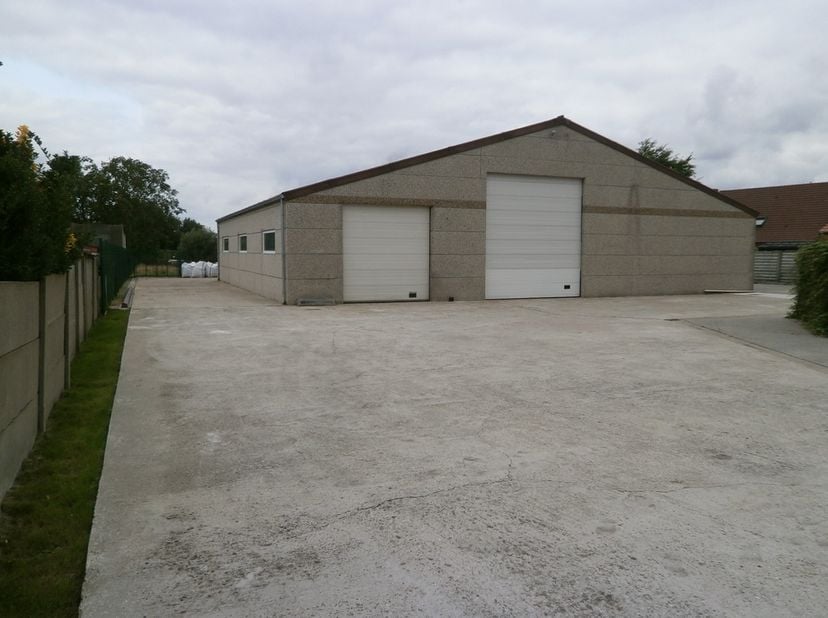 Grote loods 350 m² met gerenoveerd bureel of woonst erbij. Volledig aangelegd verhard rondom. Aparte garage 35 m². Afgesloten aan de straat met poort.
