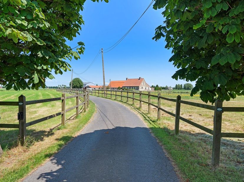 Schitterend gelegen hoeve met bijgebouwen op een idyllische locatie te Knokke-Heist, volledig omgeven door weilanden. Een eigendom op bijna vijf hecta