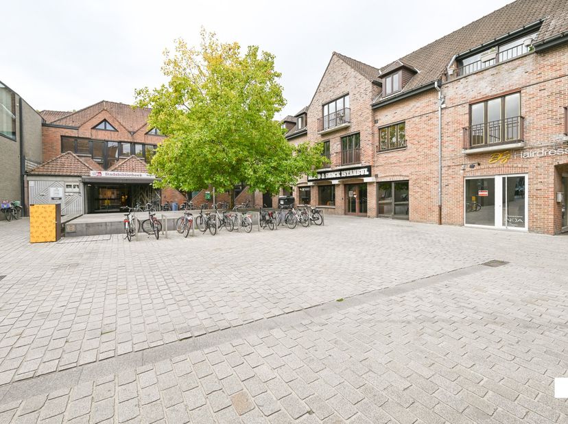 Ontdek dit ruime, instapklare appartement met drie slaapkamers, ideaal gelegen nabij de Grote Markt van Izegem. Met een bewoonbare oppervlakte van cir