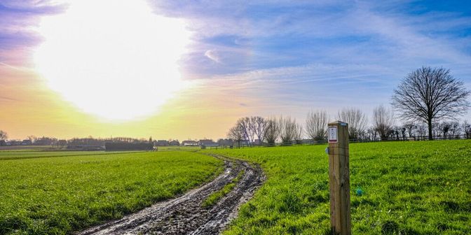 Grond te koop in Kruiseekhoek, 8980 Geluveld