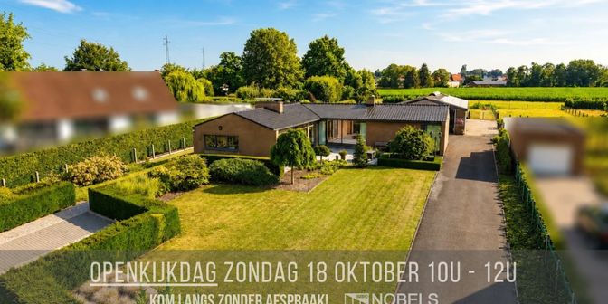 Bien professionnel à vendre à Schapendries 99, 9700 Oudenaarde