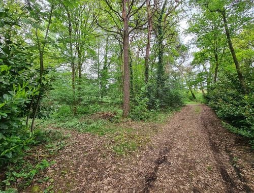                                         Grond te koop in Hechtel, € 10.000
