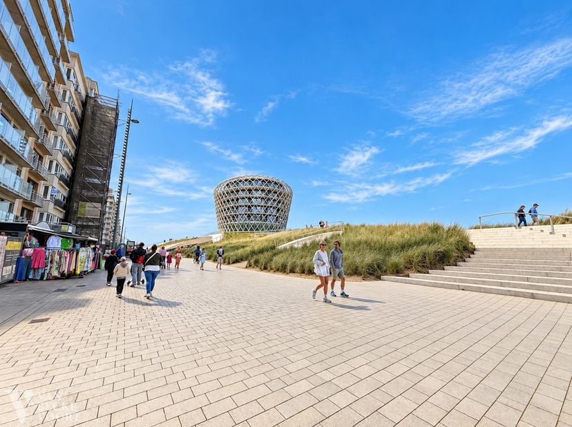Bien professionnel à remettre à ,
                    8430 Middelkerke