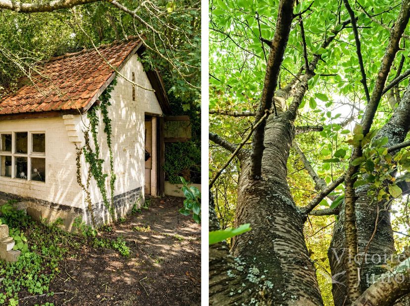 Ideaal gelegen in een residentiële wijk, presenteert Victoire-Junot dit charmante driegevelwoning bestaande uit: inkomhal met gastentoilet, woonkamer/