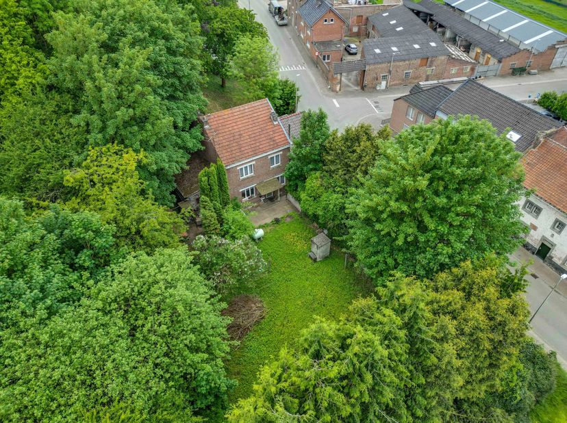 Deze open bebouwing, gelegen aan de Visésteenweg 424 in Tongeren-Borgloon, biedt tal van mogelijkheden voor wie op zoek is naar een renovatieproject.<