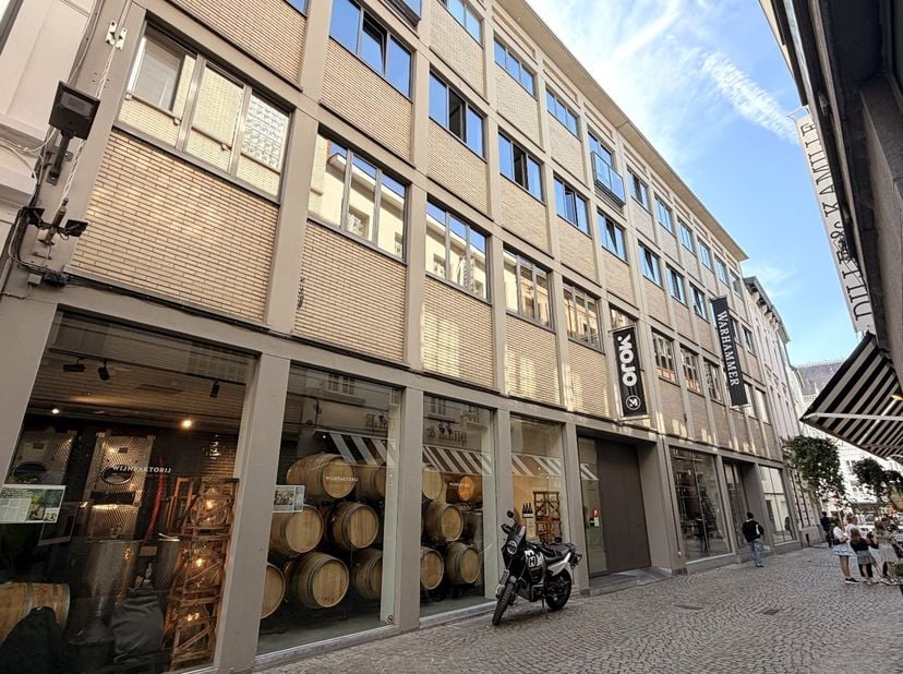 Bedrijfsvastgoed te huur in Vleminckstraat 10 bus 6,
                    2000 Antwerpen