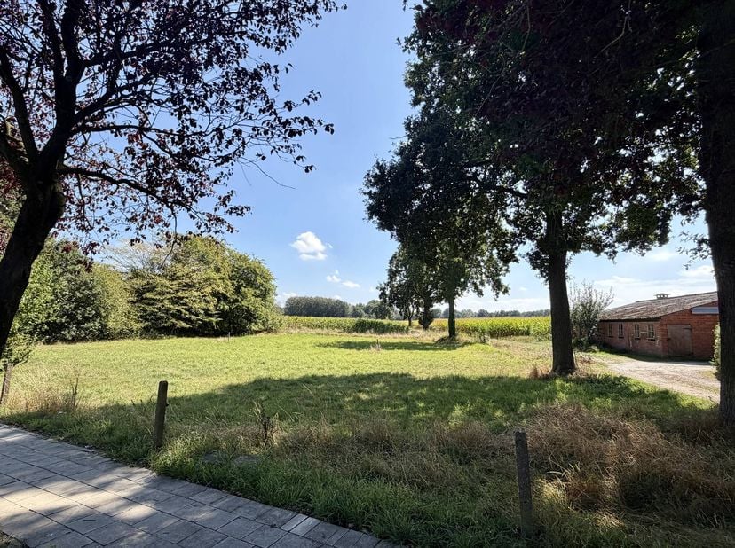 Terrain à vendre à Houtstraat 131,
                    2960 Sint-Lenaarts