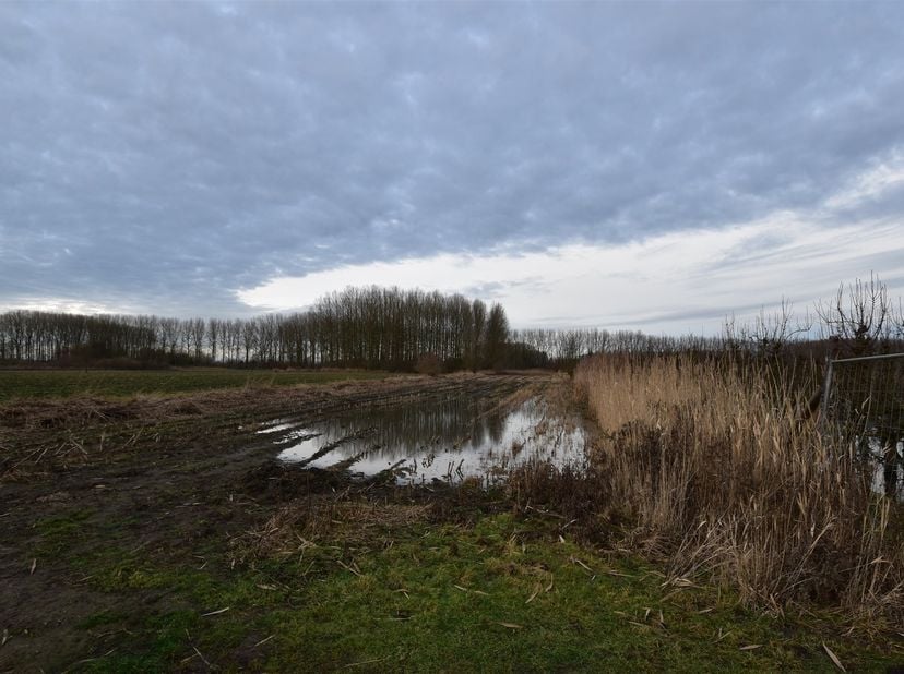 Langs de Koning Albertdijk in Moerzeke wordt deze landbouwgrond van 4.858 m² in een doodlopende straat te koop aangeboden.<br />
<br />
Het perceel