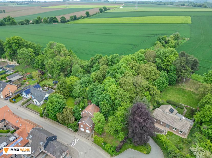 Deze open bebouwing, gelegen aan de Visésteenweg 424 in Tongeren-Borgloon, biedt tal van mogelijkheden voor wie op zoek is naar een renovatieproject.<