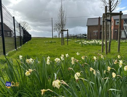                                         Bouwgrond te koop in Mielen-Boven-Aalst, € 79.500
