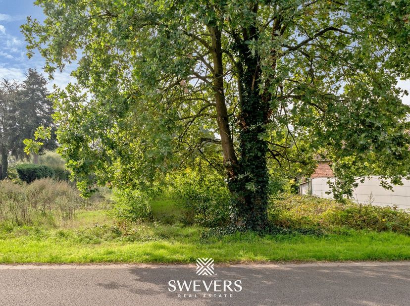 Terrain à vendre à Oudestraat 39,
                    3520 Zonhoven