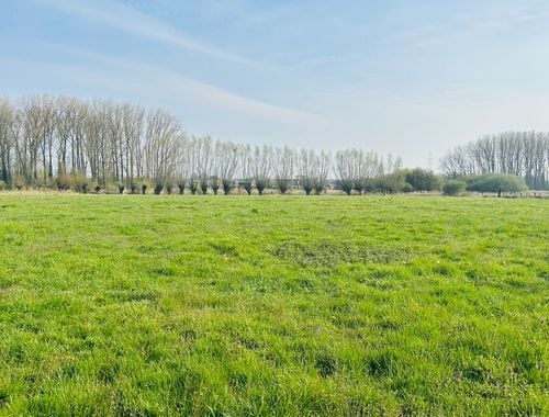                                        Bouwgrond te koop in Deerlijk, € 475.000
