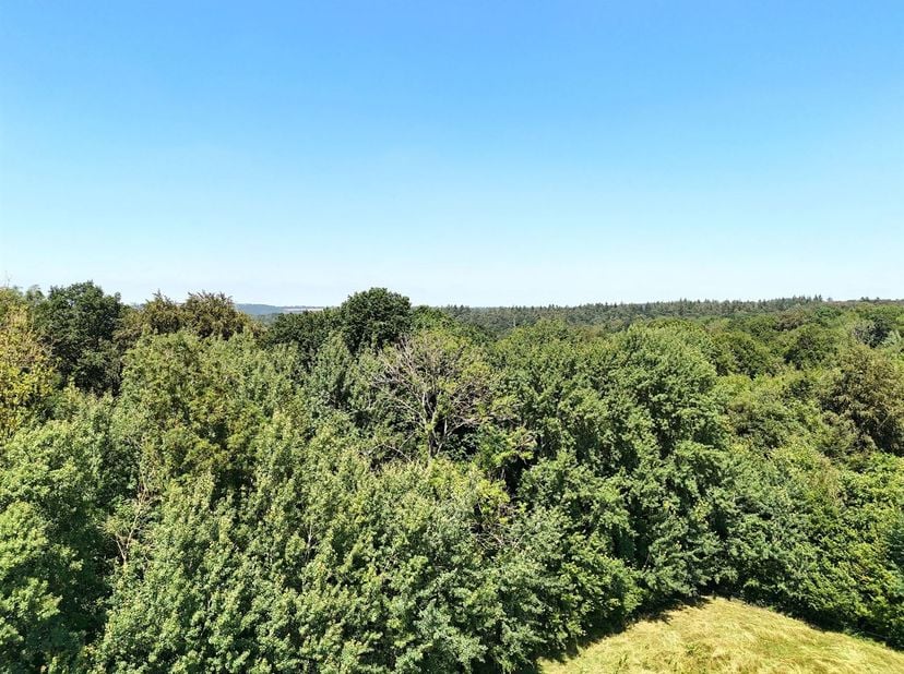 Uitzonderlijk landgoed – 55 hectare bos, landbouwgrond en weiden.<br />
Dit landgoed van ongeveer 55 hectare, dat zelden op de markt komt, combineert