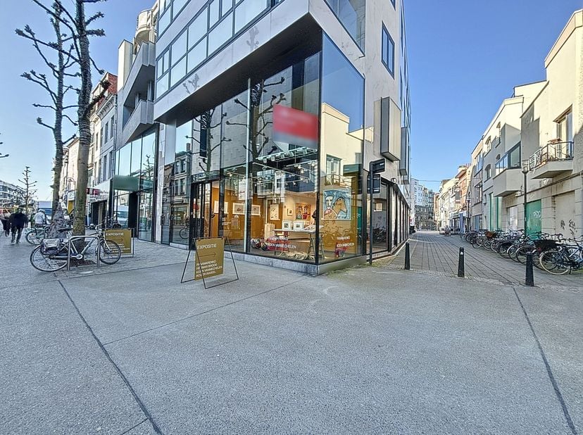 Dit is jouw kans om je te vestigen op een toplocatie in Hasselt! Dit ruime handelspand van 381m², gelegen op de Koning Albertstraat, biedt een uitstek