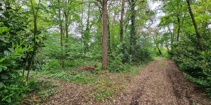 Terrain à vendre à Mozenplek z/n, 3940 Hechtel